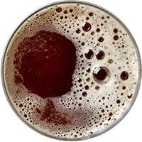 http://amphorabeer.com/wp-content/uploads/2017/05/beer_transparent_02-4.png